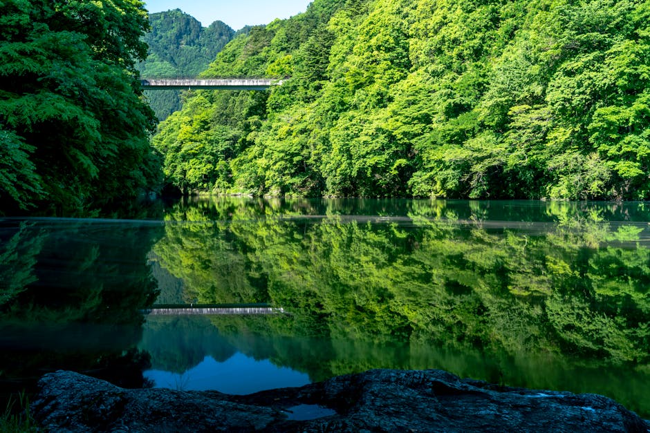 アジア, かつての滝, クリエイティブの無料の写真素材