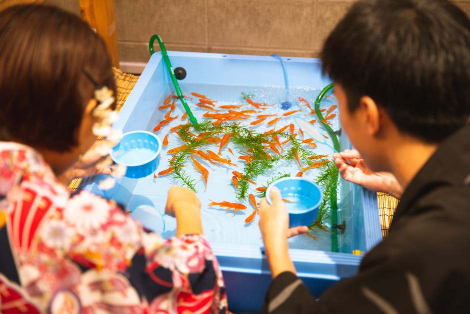 流域から小さな水族館の魚を捕まえている認識できない兄弟