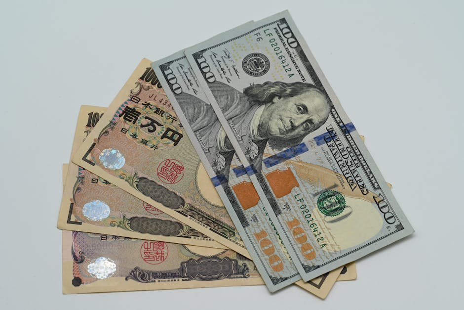 主要バス会社4社の料金・設備を徹底比較 の参考イメージ